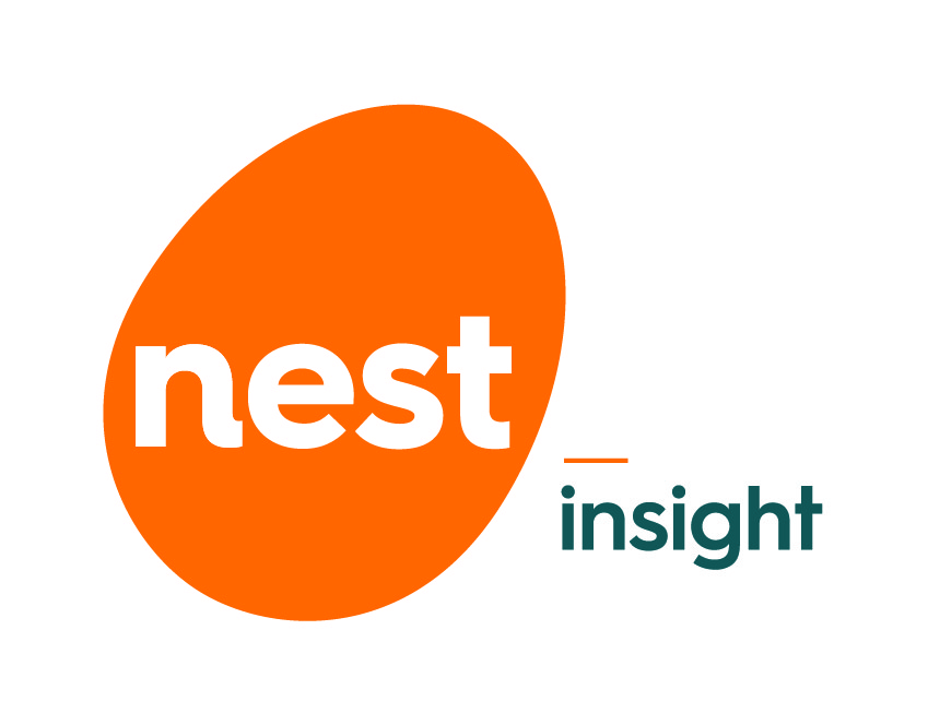 Nest Insight Logo